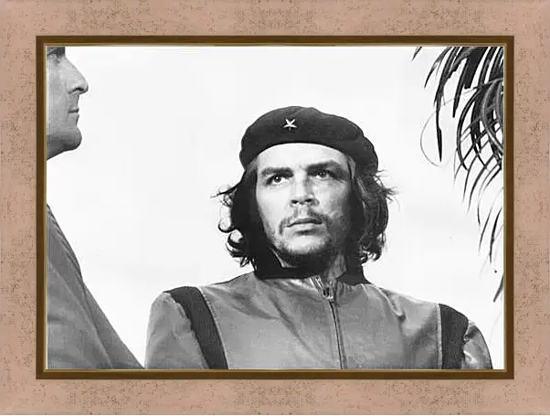 Картина в раме - Che Guevara - Че Гевара
