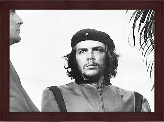 Картина в раме - Che Guevara - Че Гевара
