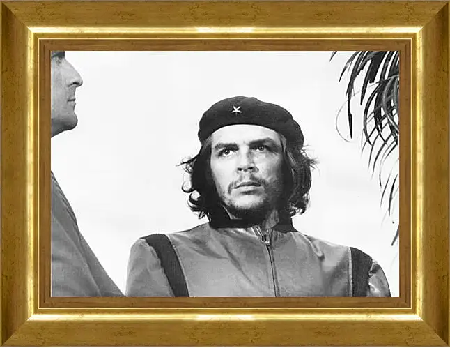 Картина в раме - Che Guevara - Че Гевара
