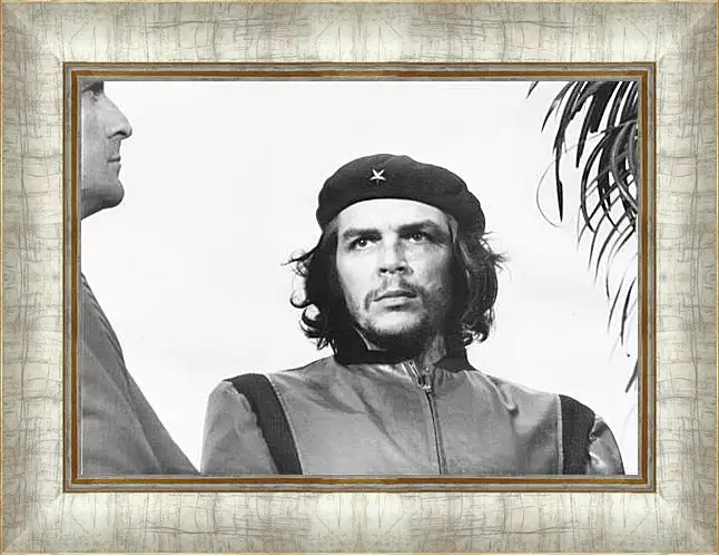 Картина в раме - Che Guevara - Че Гевара
