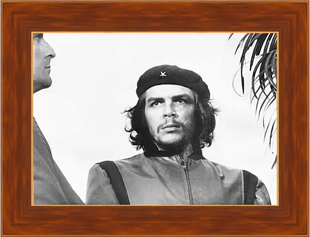 Картина в раме - Che Guevara - Че Гевара
