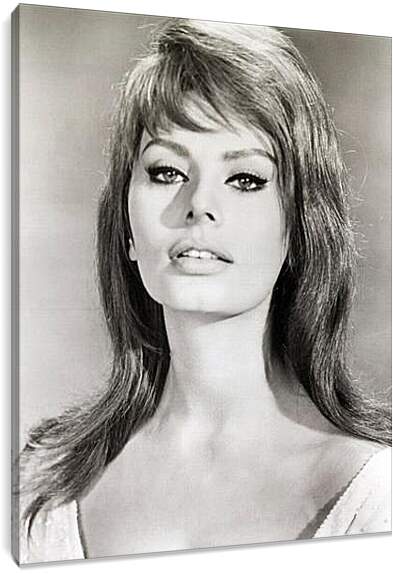 Постер и плакат - Sophia Loren - Софи Лорен
