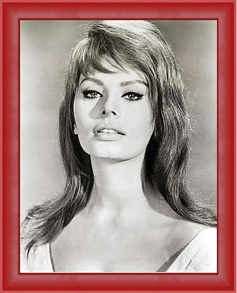 Картина в раме - Sophia Loren - Софи Лорен
