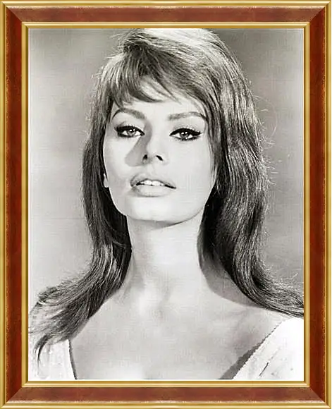 Картина в раме - Sophia Loren - Софи Лорен
