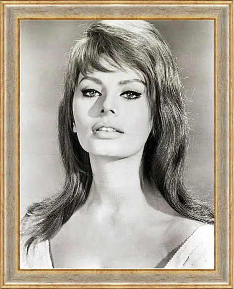 Картина в раме - Sophia Loren - Софи Лорен
