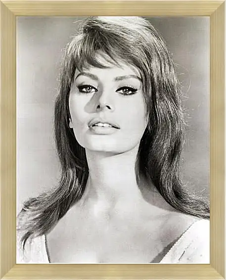 Картина в раме - Sophia Loren - Софи Лорен
