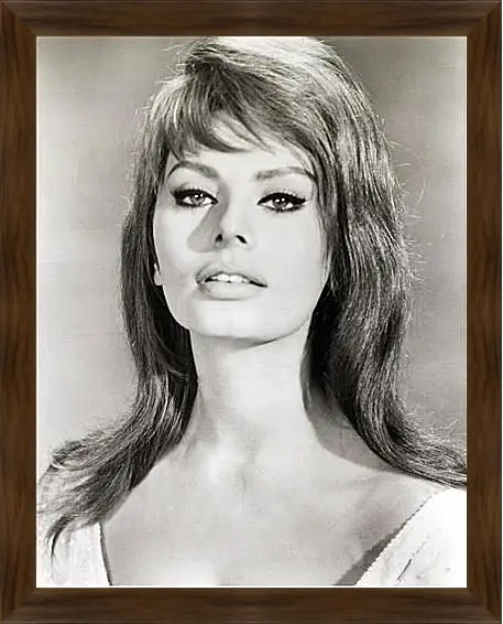 Картина в раме - Sophia Loren - Софи Лорен
