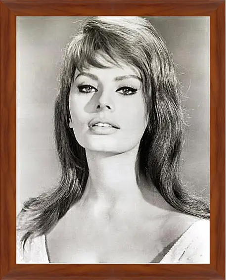 Картина в раме - Sophia Loren - Софи Лорен
