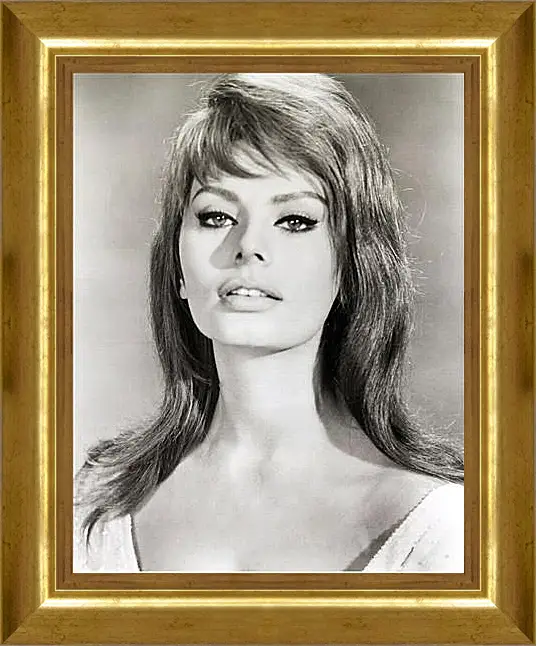 Картина в раме - Sophia Loren - Софи Лорен
