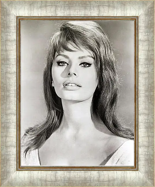 Картина в раме - Sophia Loren - Софи Лорен
