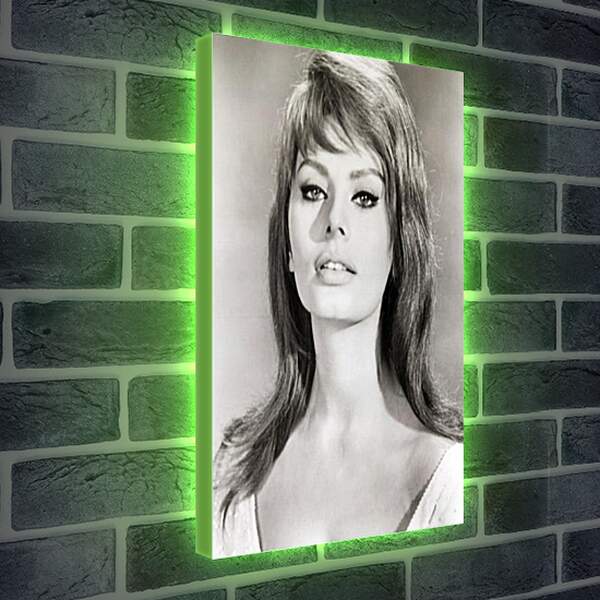 Лайтбокс световая панель - Sophia Loren - Софи Лорен
