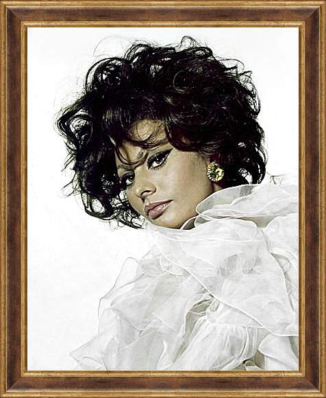 Картина в раме - Sophia Loren - Софи Лорен
