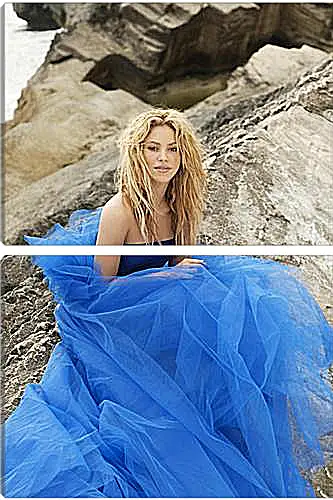 Модульная картина - Shakira - Шакира
