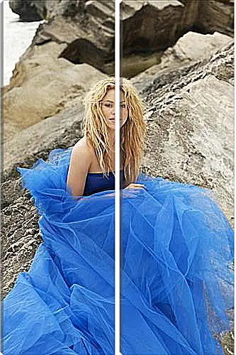 Модульная картина - Shakira - Шакира
