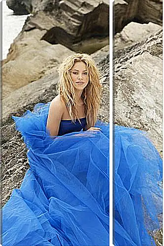 Модульная картина - Shakira - Шакира
