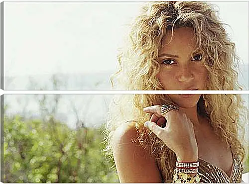 Модульная картина - Shakira - Шакира
