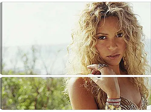 Модульная картина - Shakira - Шакира
