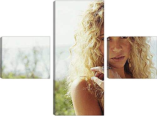 Модульная картина - Shakira - Шакира
