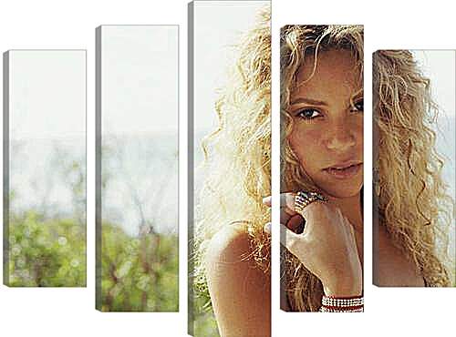 Модульная картина - Shakira - Шакира

