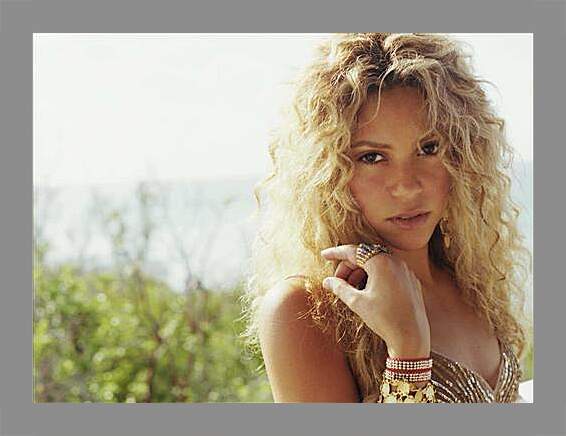 Картина в раме - Shakira - Шакира
