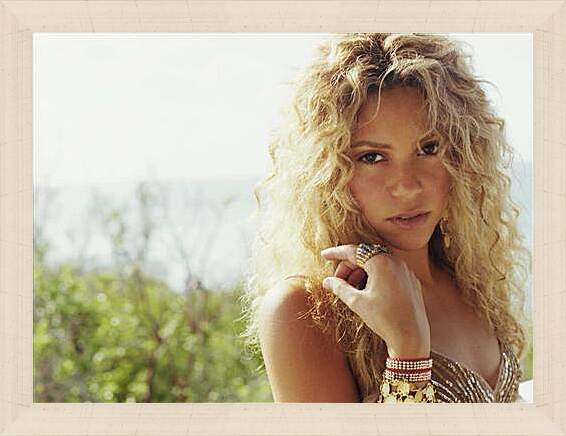 Картина в раме - Shakira - Шакира
