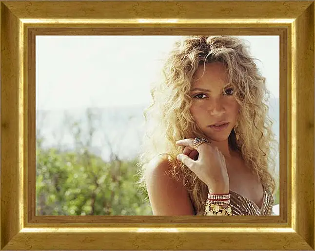 Картина в раме - Shakira - Шакира
