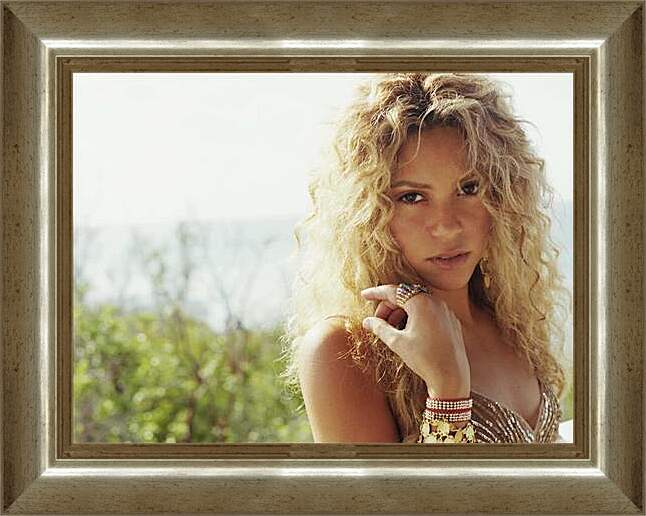 Картина в раме - Shakira - Шакира
