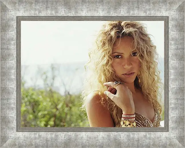 Картина в раме - Shakira - Шакира
