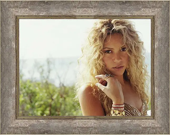 Картина в раме - Shakira - Шакира
