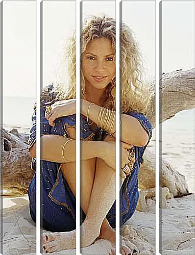 Модульная картина - Shakira - Шакира
