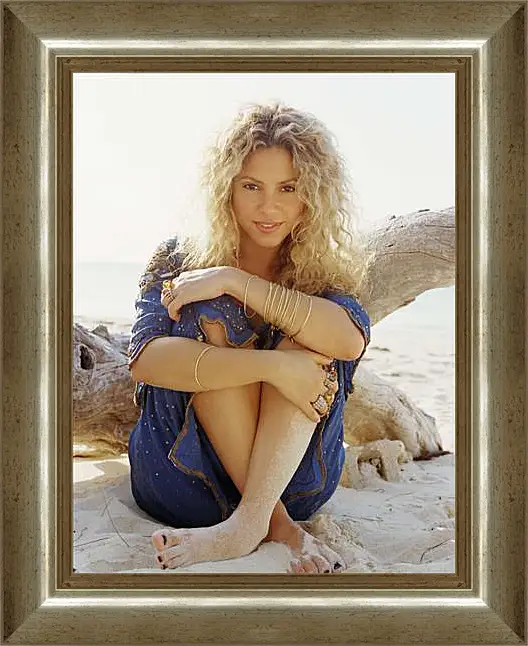 Картина в раме - Shakira - Шакира
