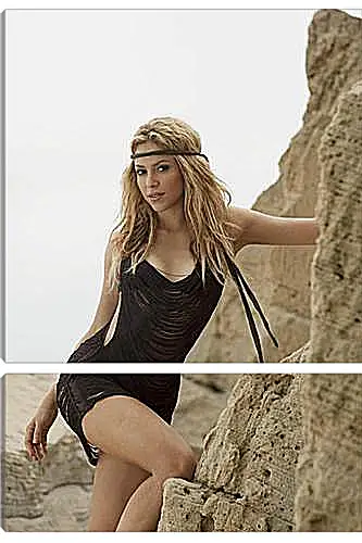 Модульная картина - Shakira - Шакира
