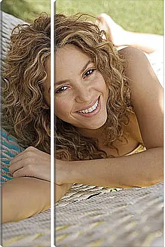 Модульная картина - Shakira - Шакира
