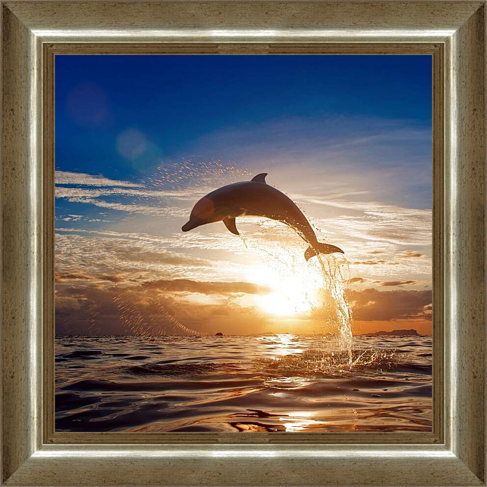 Картина в раме - Дельфин