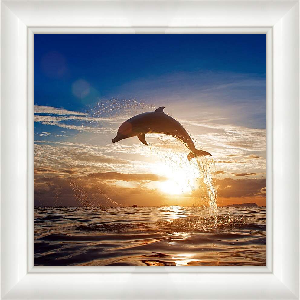 Картина в раме - Дельфин