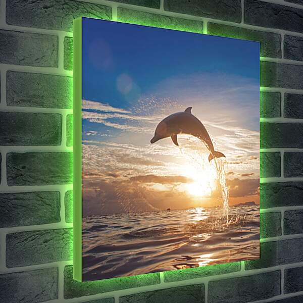 Лайтбокс световая панель - Дельфин