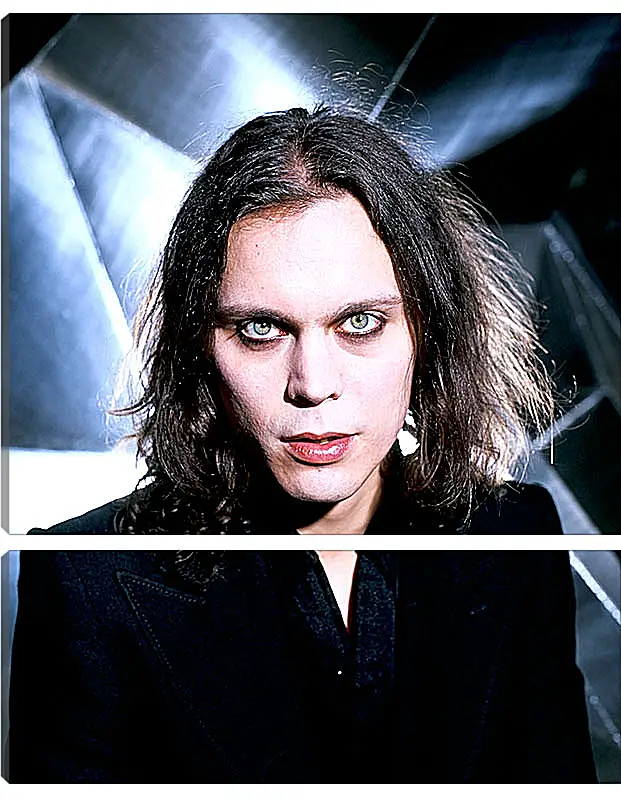Модульная картина - Ville Valo - Вилле Вало