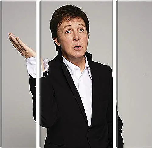 Модульная картина - Пол Маккартни (Paul McCartney)