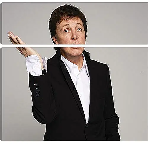 Модульная картина - Пол Маккартни (Paul McCartney)
