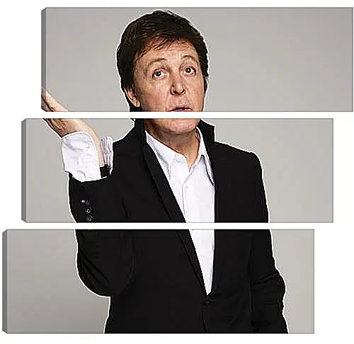 Модульная картина - Пол Маккартни (Paul McCartney)
