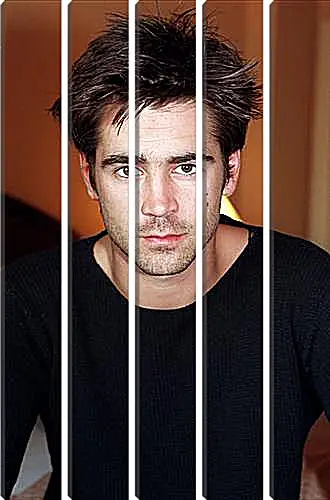 Модульная картина - Colin Farrell - Колин Фаррелл
