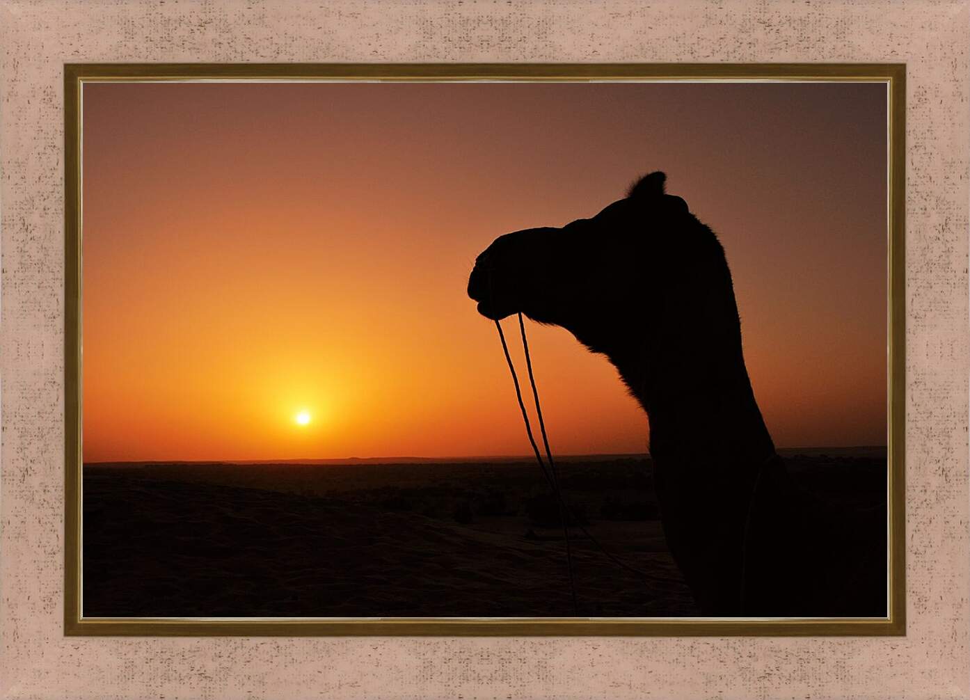 Картина в раме - Верблюд