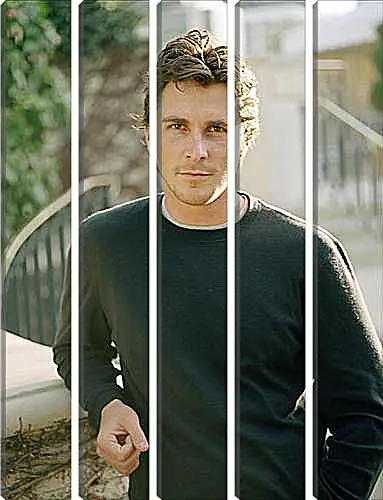 Модульная картина - Christian Bale - Кристиан Бэйл
