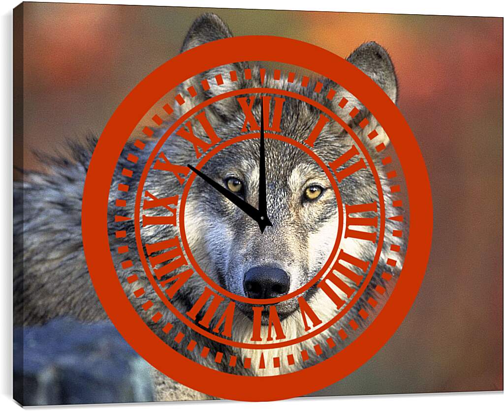 Часы картина - Волк