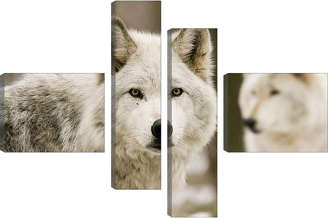 Модульная картина - Волки