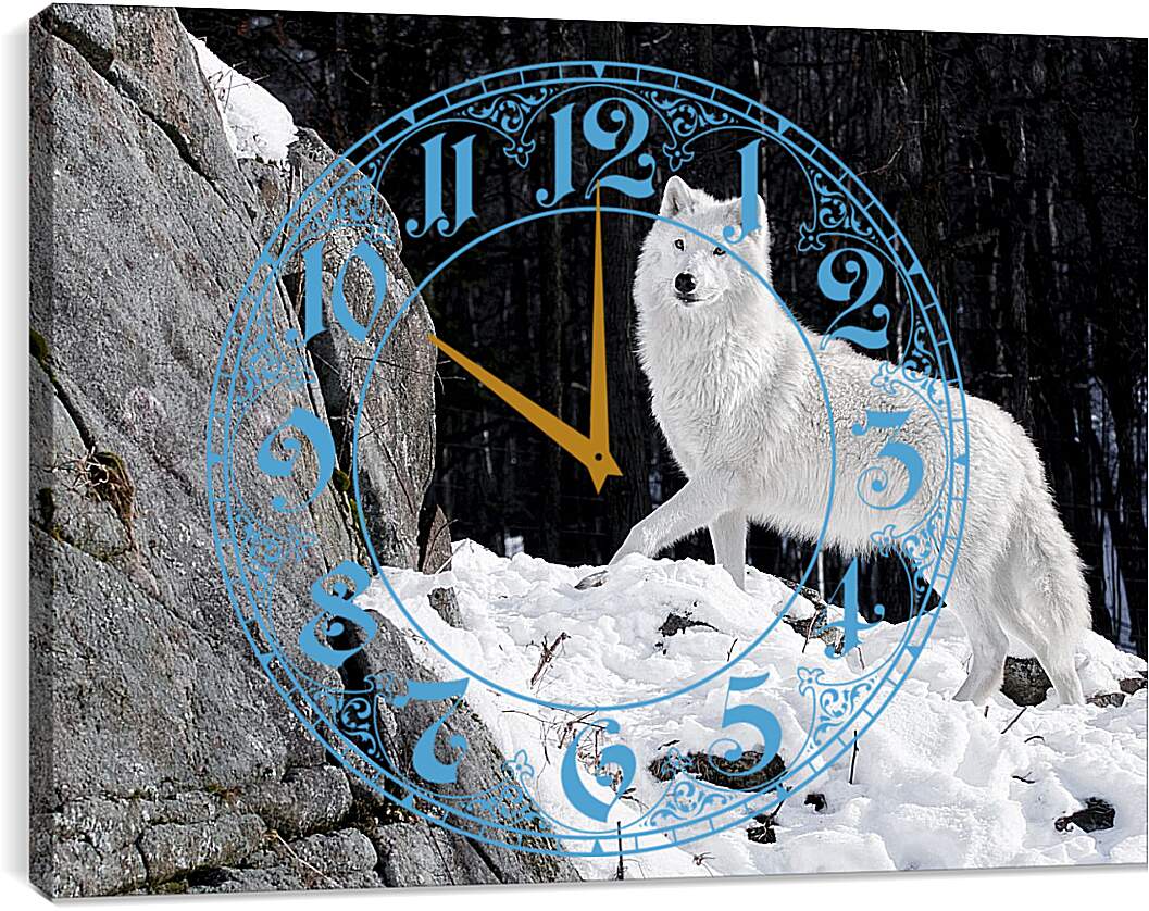 Часы картина - Белый волк