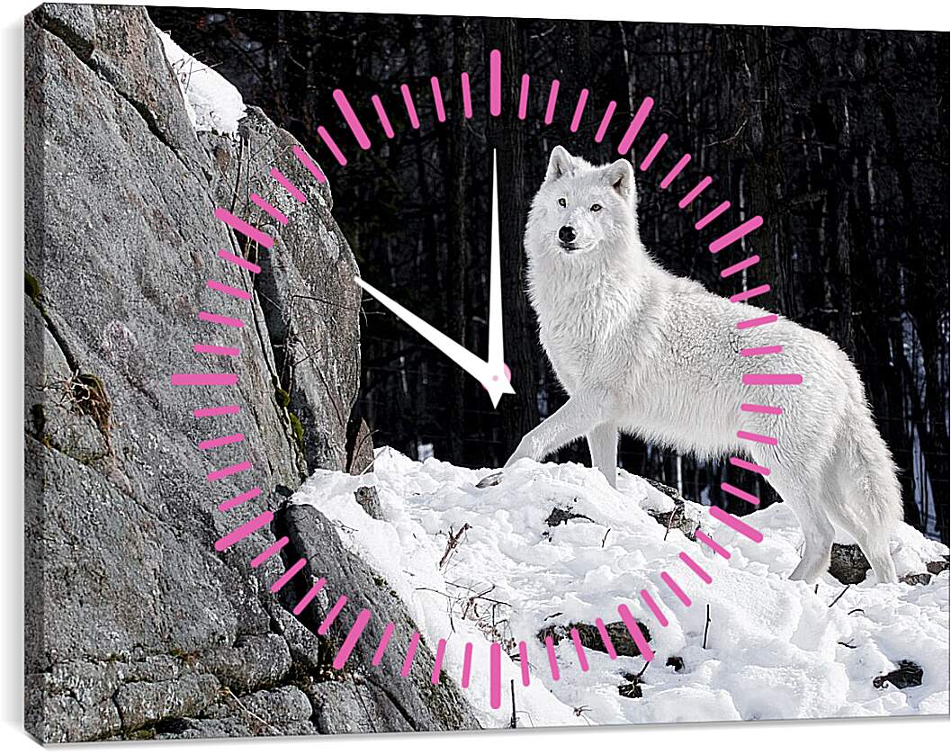 Часы картина - Белый волк
