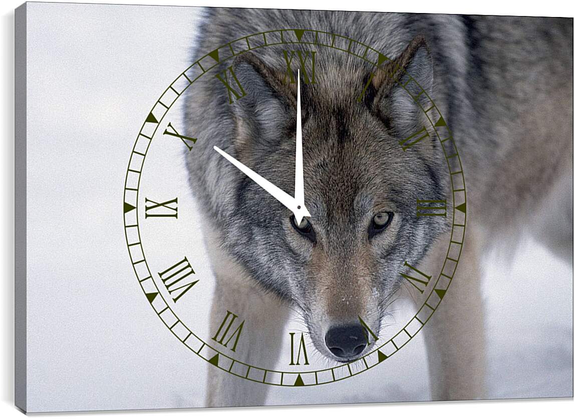 Часы картина - Волк