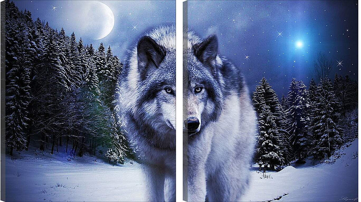 Модульная картина - Волк