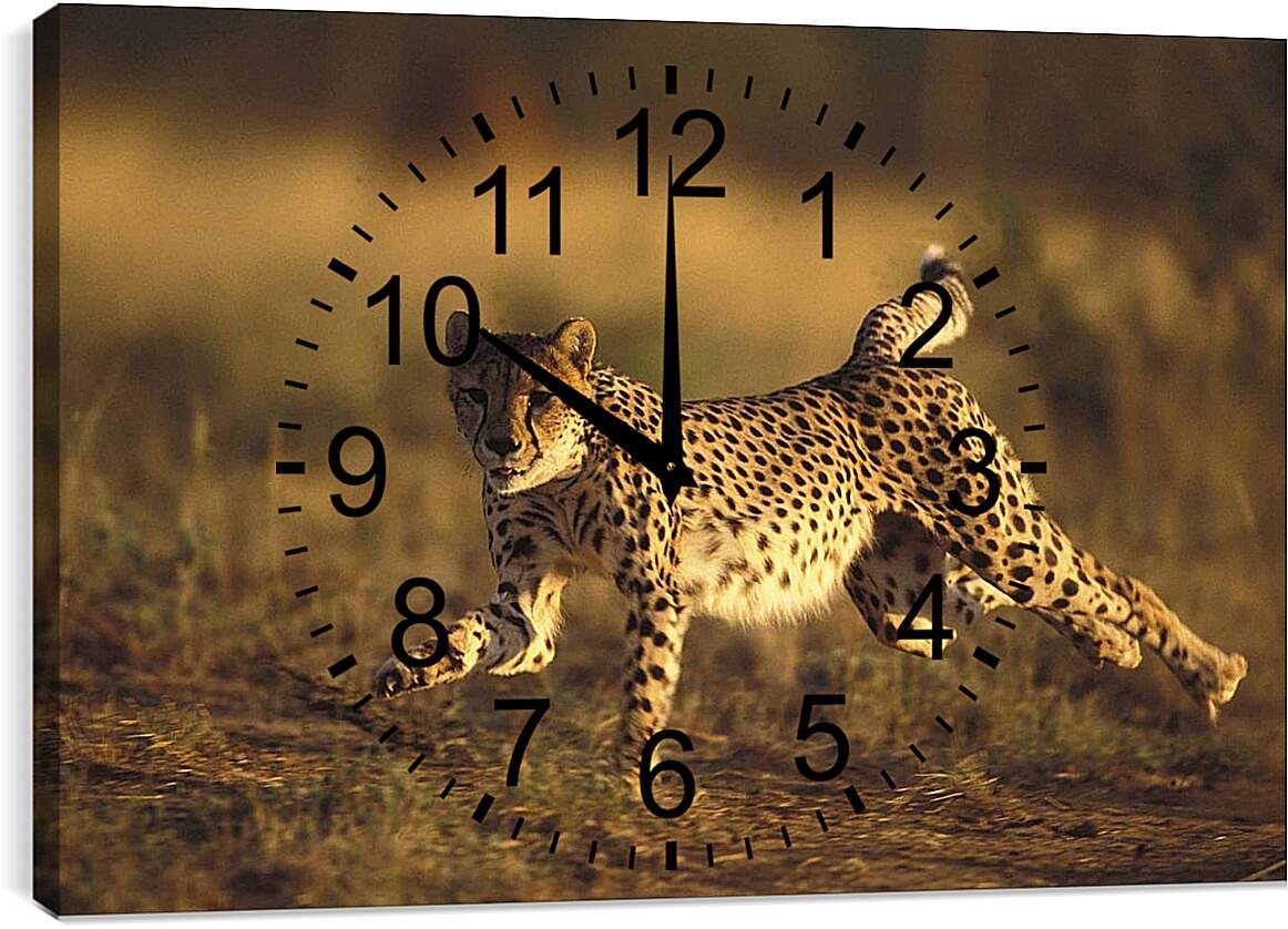 Часы картина - Гепард